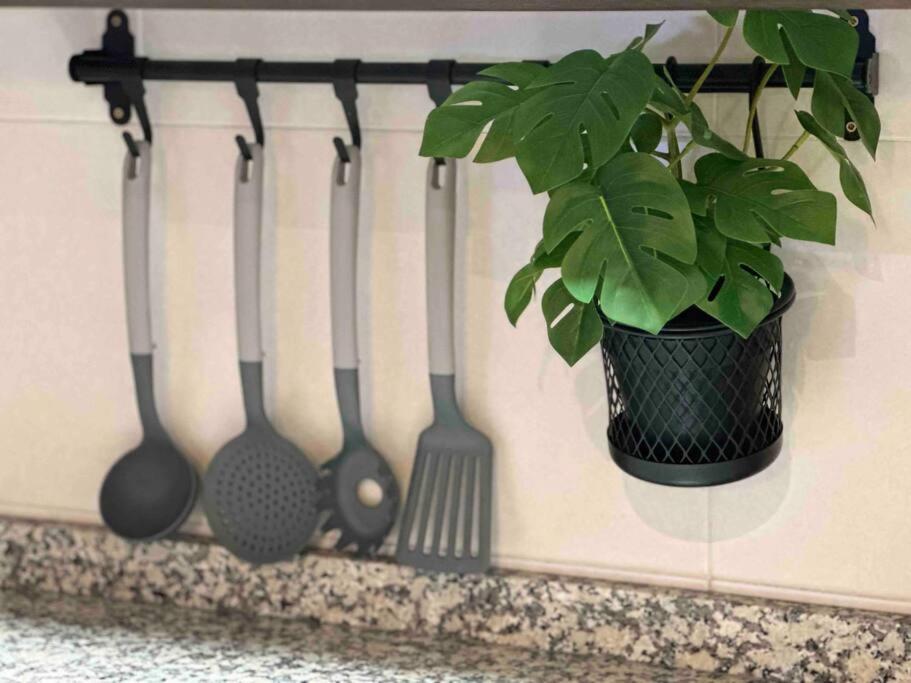 Apartamento El Picu Collanzo Exterior foto
